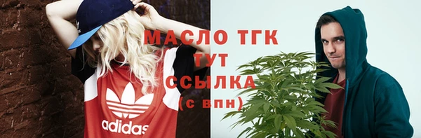 меф Дмитриев