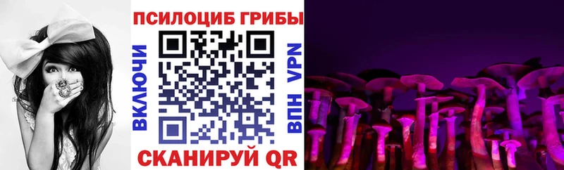 Галлюциногенные грибы Cubensis  Купить закладки  Мирный 